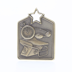 Shield Medal Swimming 60mm Gold