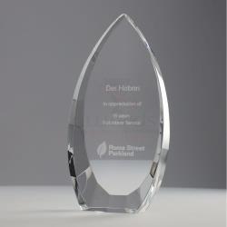 Vincente Award 155mm