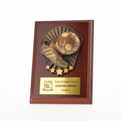 Cosmos Futsal/Indoor Walnut Plaque 150mm
