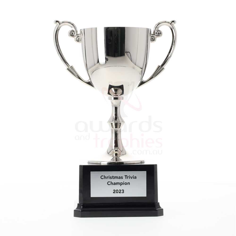 Recognition Cup 210mm - Silver