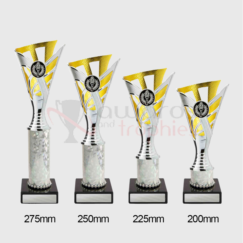 Palma Cup Silver/Gold 275mm