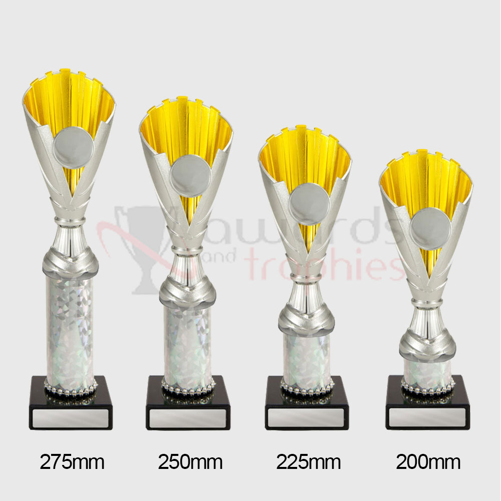 Norwich Cup Silver/Gold 225mm
