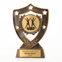 Shield 155mm - Cheer