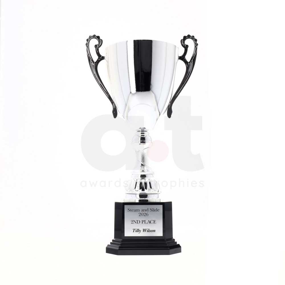 Napa Cup 555mm - Silver