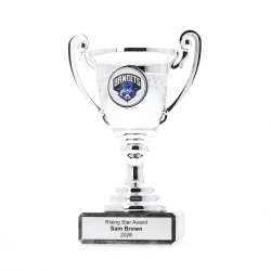 Value Cup 145mm - Silver
