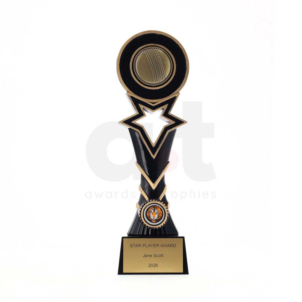 Galactica Series 290mm - Cricket Ball