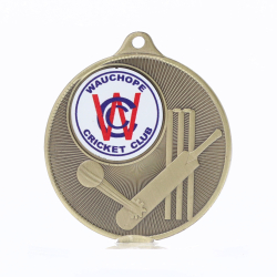 Universal Logo Medal Gold 50mm - Cricket