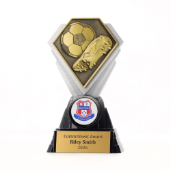 Diamond Trophy 125mm - Football Gold