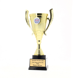 Cedar Cup 235mm - Gold