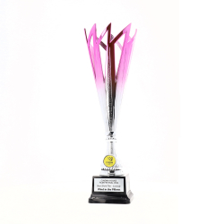 Alchemy Cup 360mm - Pink