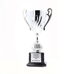 Cruiser Cup 300mm - Silver