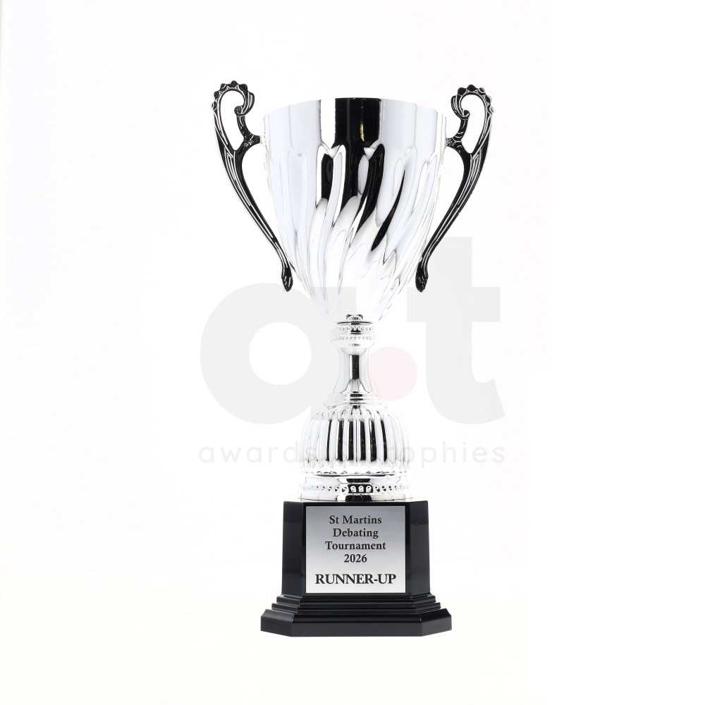 Cruiser Cup 300mm - Silver