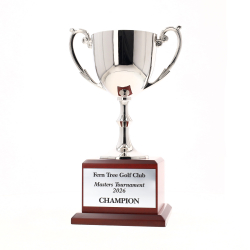 Recognition on Timber 220mm - Silver
